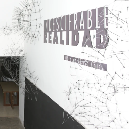 Entrada de la exposición 'Indescifrable Realidad', de Alicia Coles en el MACCAR